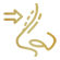 سپتوپلاستی