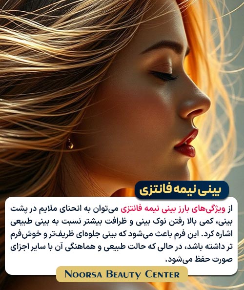 ویژگی های بینی نیمه فانتزی