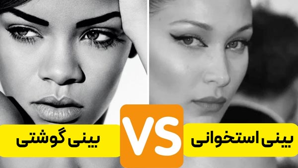 بینی استخوانی و گوشتی