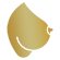 پروتز سینه