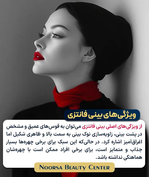 ویژگی بینی فانتزی