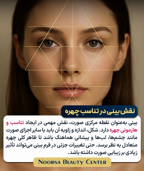 نقش بینی در تناسب چهره