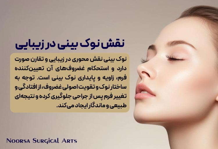 نقش نوک بینی در زیبایی ظاهر