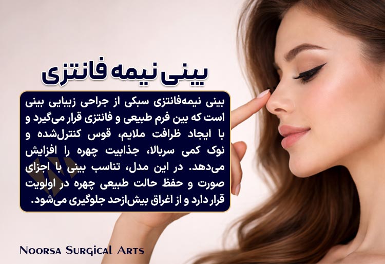 بینی نیمه فانتزی چیست